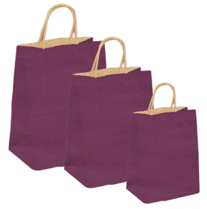 Pungi natur, colorate 100% mov - 25x14x30 cm - 100 buc.